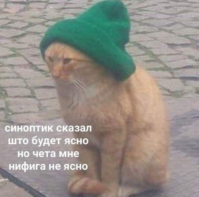 Картинки для деградации 218 (разной степени свежести)
