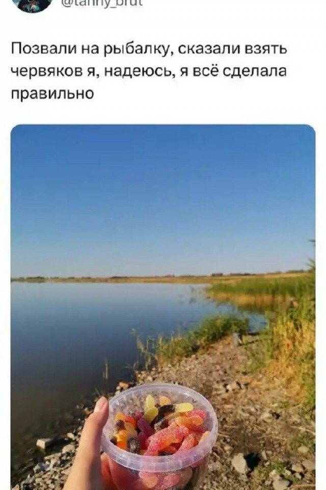 Так себе картинки 04.07.26