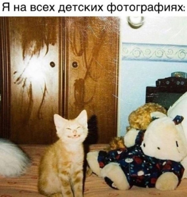 Картинки для деградации 236 (разной степени свежести)
