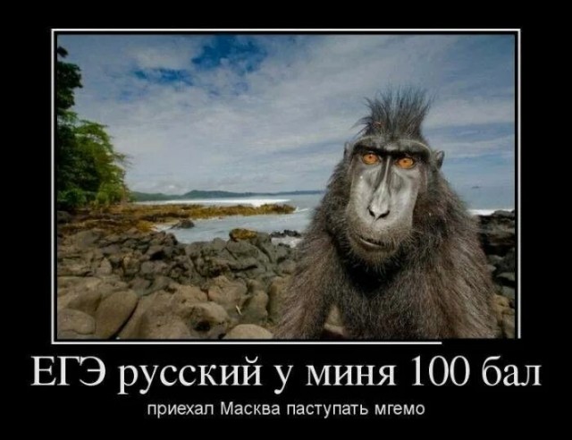 Житель Ярославля впервые оказался в Москве и был шокирован столицей