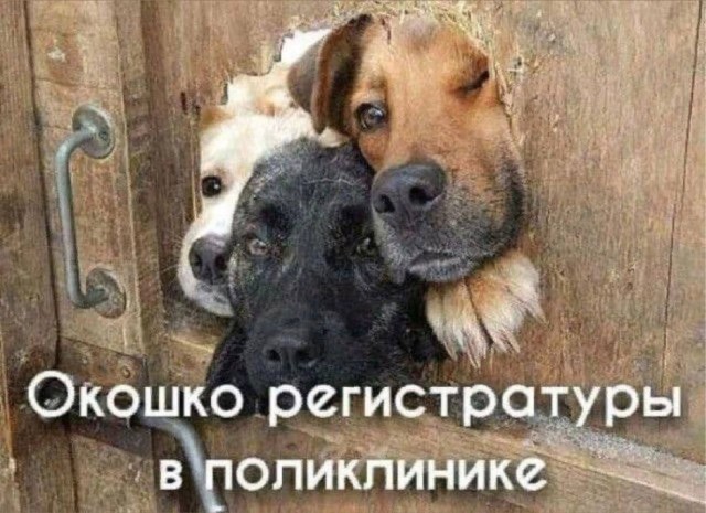 Веселое настроение в картинках 26.07.26
