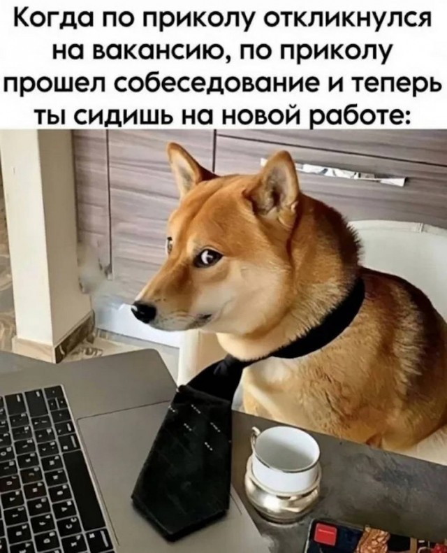 Нуштош. Ложная экзистенция (s6e1)