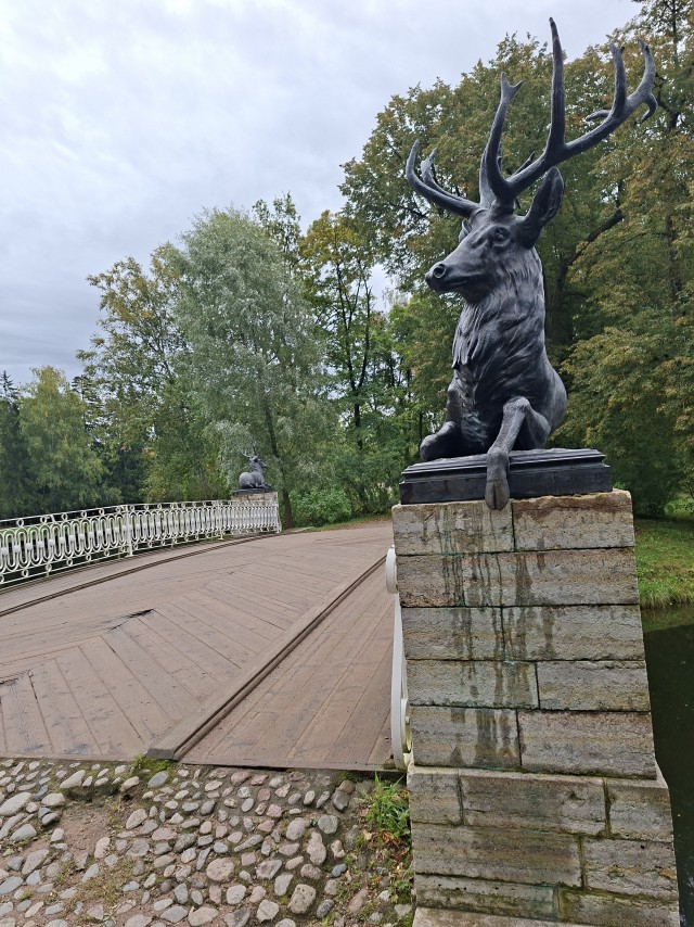 Вырицкие яблоки.