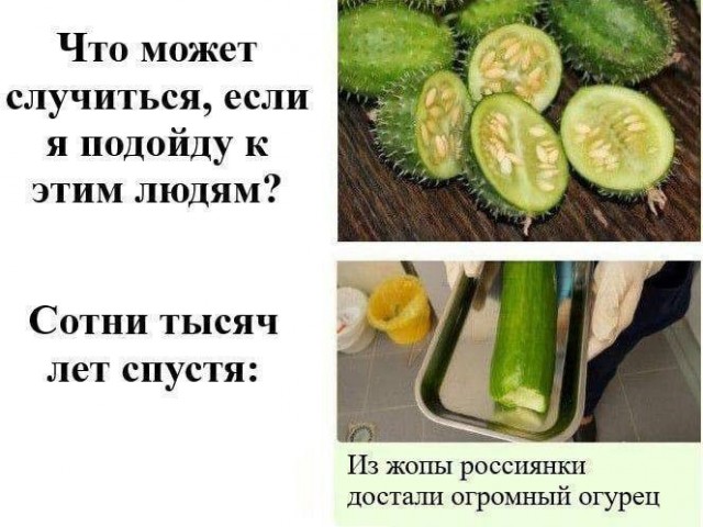 Картинки для деградации 299 (разной степени свежести)