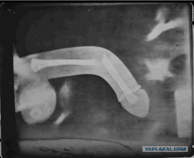 Давайте знакомиться