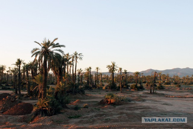 Новогодняя ночь в пустыне Сахара