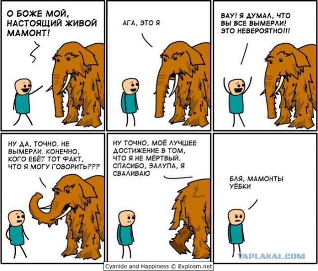 Весёлые картинки. Разбавим будни