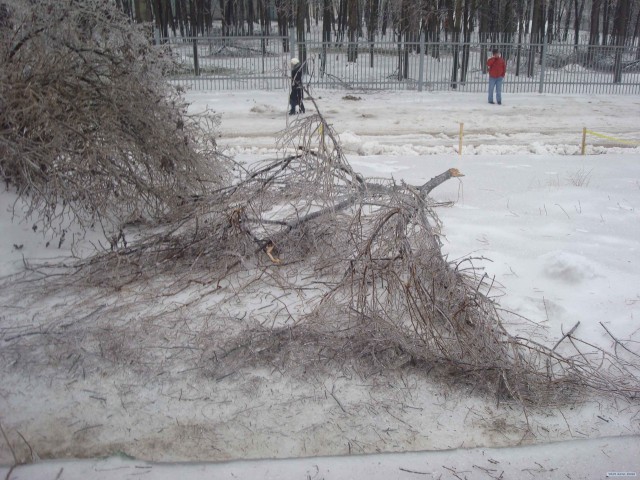 Зима, мороз и обледенение