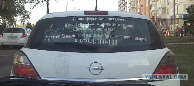 Маразмы месяца