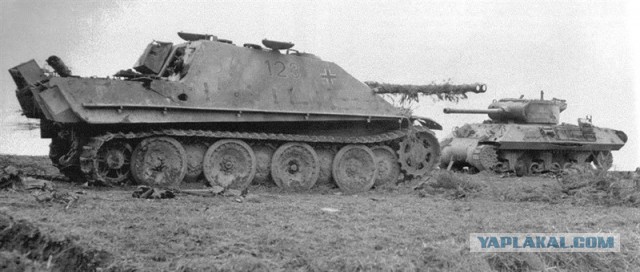 Wargaming 12, WoT сотоварищи