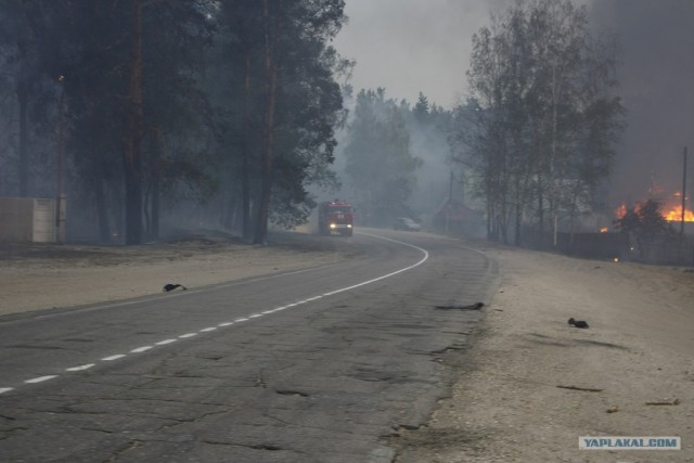 Пожары в рязанской области