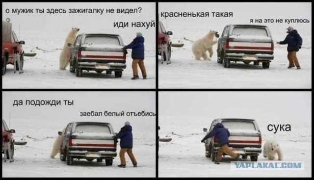 История медвежонка
