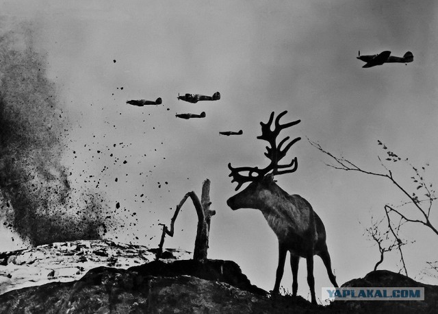Wargaming 16