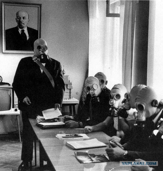 Весёлое из сети