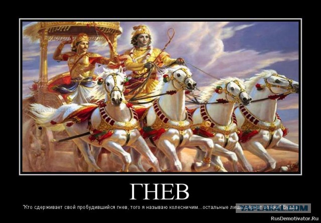 Межрелигиозный совет призвал ограничить