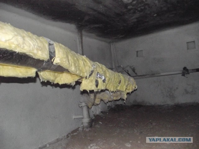 Зашел на днях в подвал.