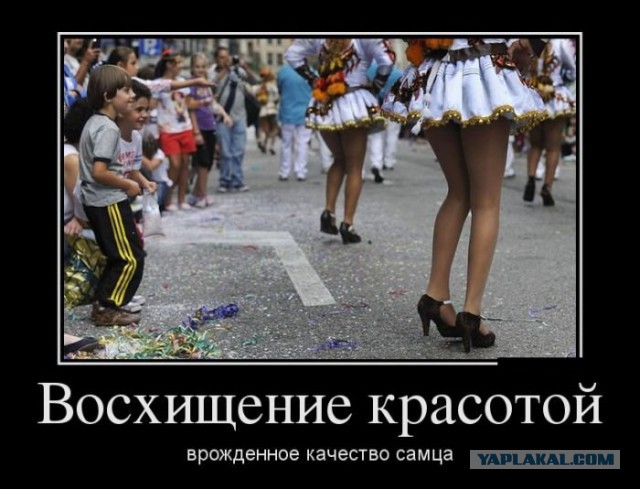 Картинки в черной рамке