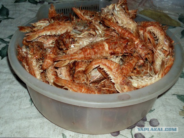 Всех с пятницей, хорошей погоды и выходных!