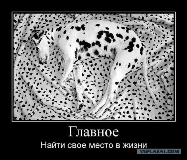 Картинки с просторов на четверг