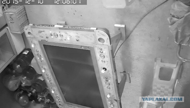 За что я люблю китайцев