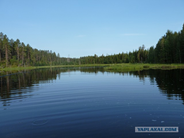 Карелия - первое знакомство.