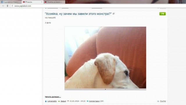 "Хозяйка, ну зачем мы завели этого монстра?"