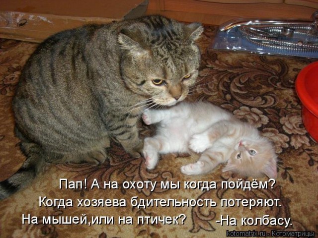 Картинки с надписями