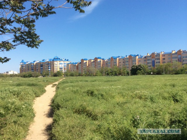 Евпатория и южный берег Крыма. июль 2016