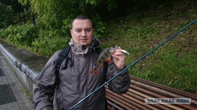 Заместитель председателя правления банка жестоко избил своего соседа в Москве