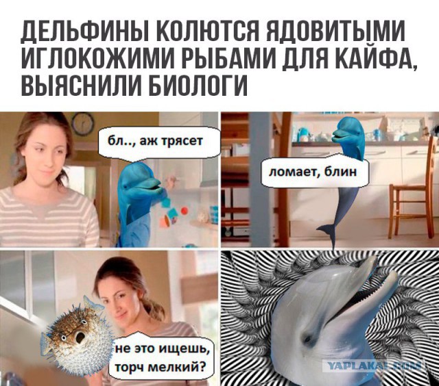Всякие разные картинки