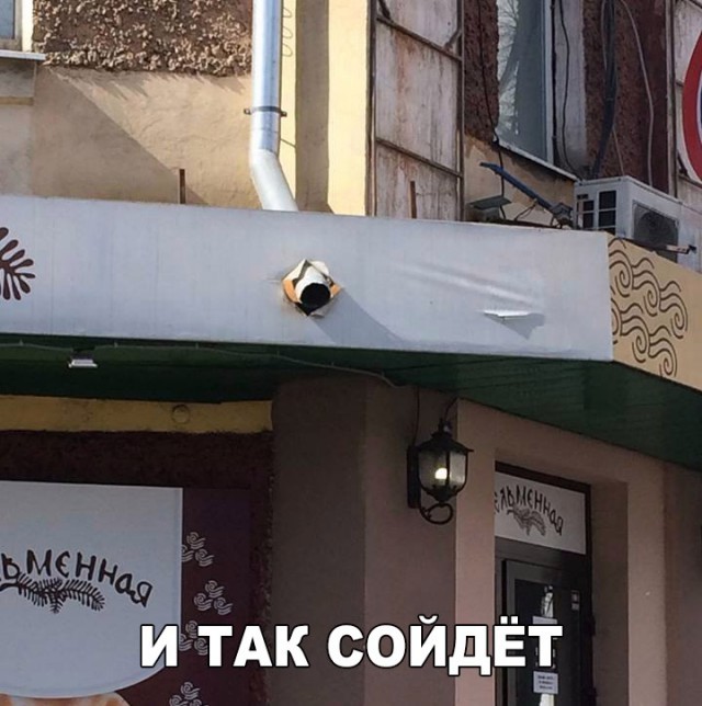 49 забавных картинок