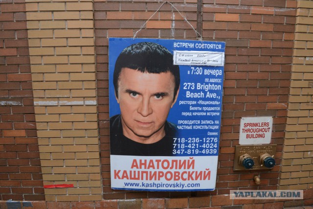 Нью-Йоркская солянка LXXIX