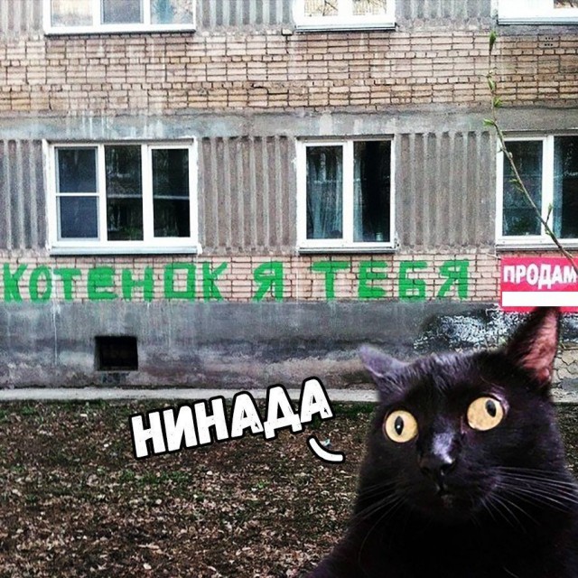 Нестандартный юмор
