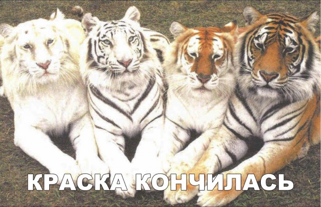 Прикольные картинки абавсём