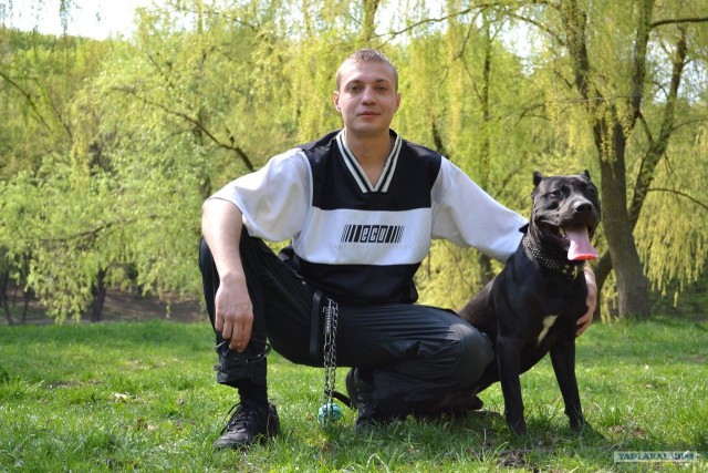 Собаки, которых нужно опасаться