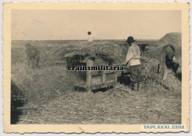 Крестьяне, деревенские  хаты. 1941-1942