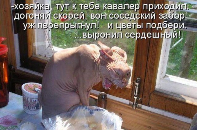 Как я привез домой голую женщину