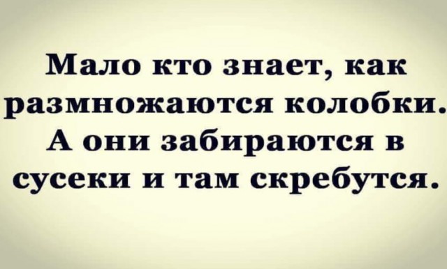 Анекдоты, соц-сети и картинки с надписями