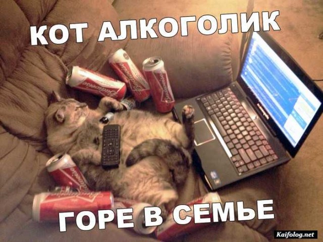 Как я стал свидетелем измены в купе поезда