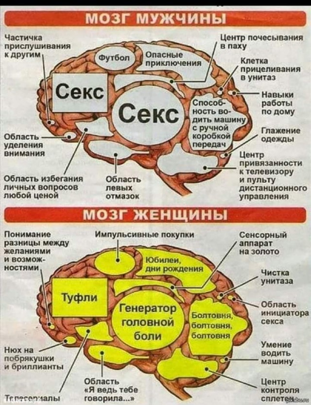 Подборка из этих интернетов