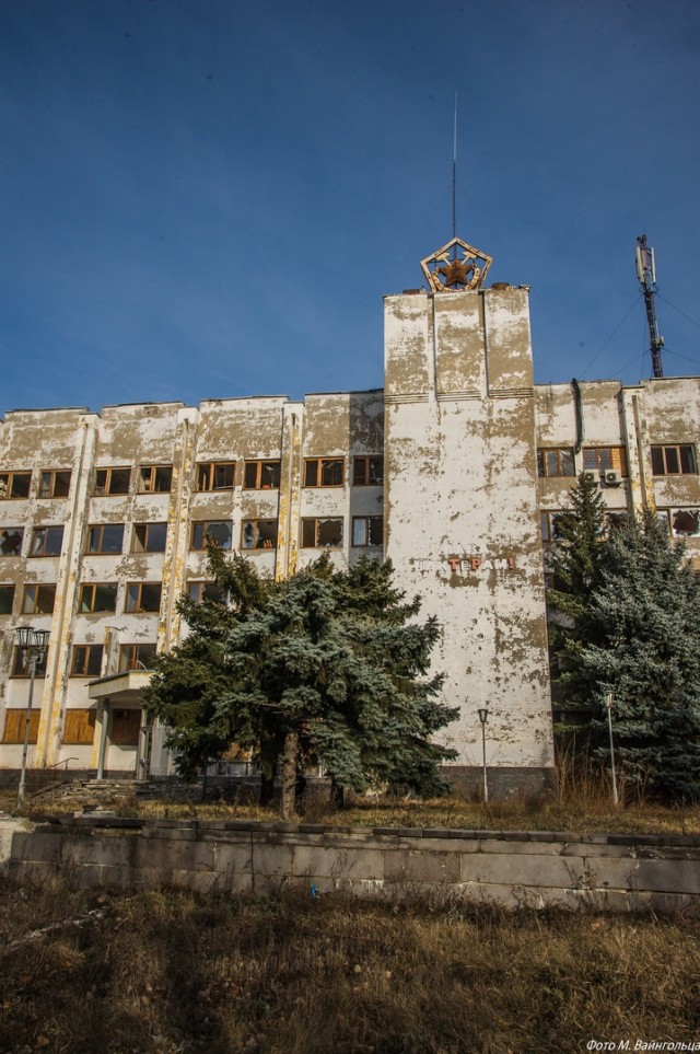 Деревья Донбасса