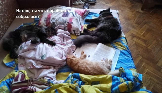 Если ты надеялась, что дома тебя будут меньше контролировать, то нет