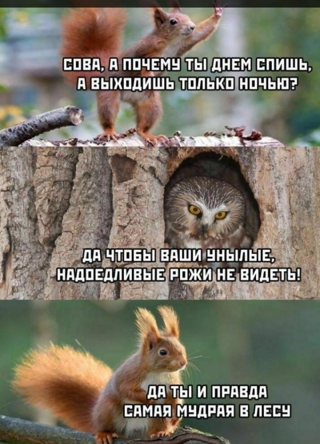 Женщины с низкой социальной ответственностью - меняются в браке или нет?