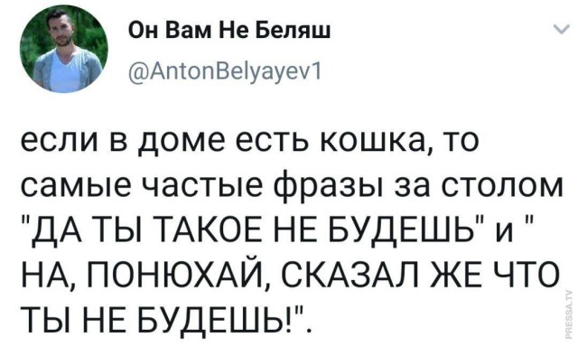 Немного картинок для настроения 118