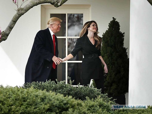 Знакомтесь. Хоуп Хикс. Она заразила Трампа коронавирусом.