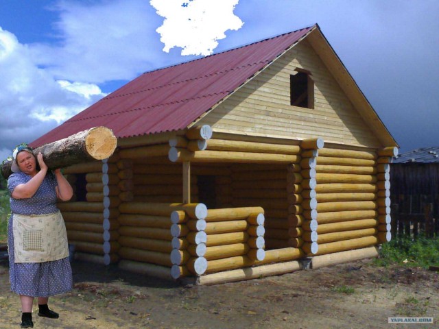 фотожаба: с бревном