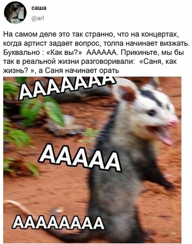 Картинки с надписями и всякие жизненные фразы
