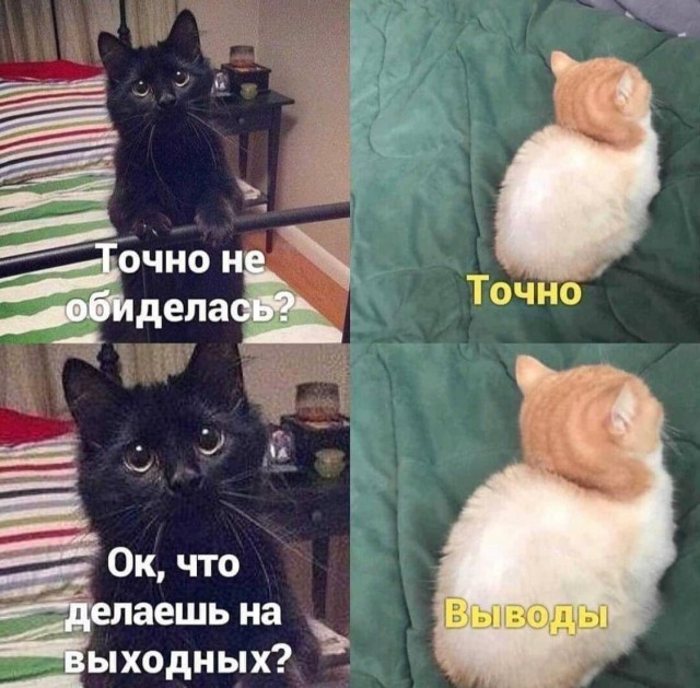 Юмор в картинках 5.01.21