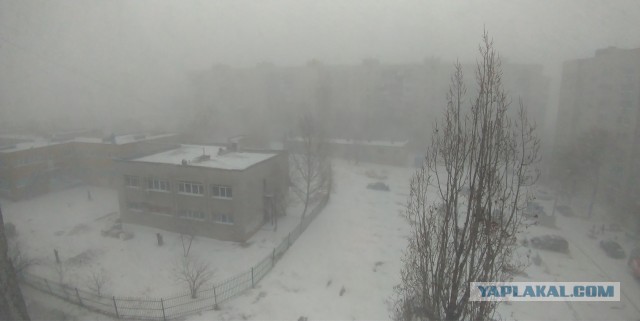 Жена не подходит моей новой квартире
