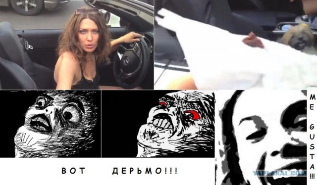СтопКал